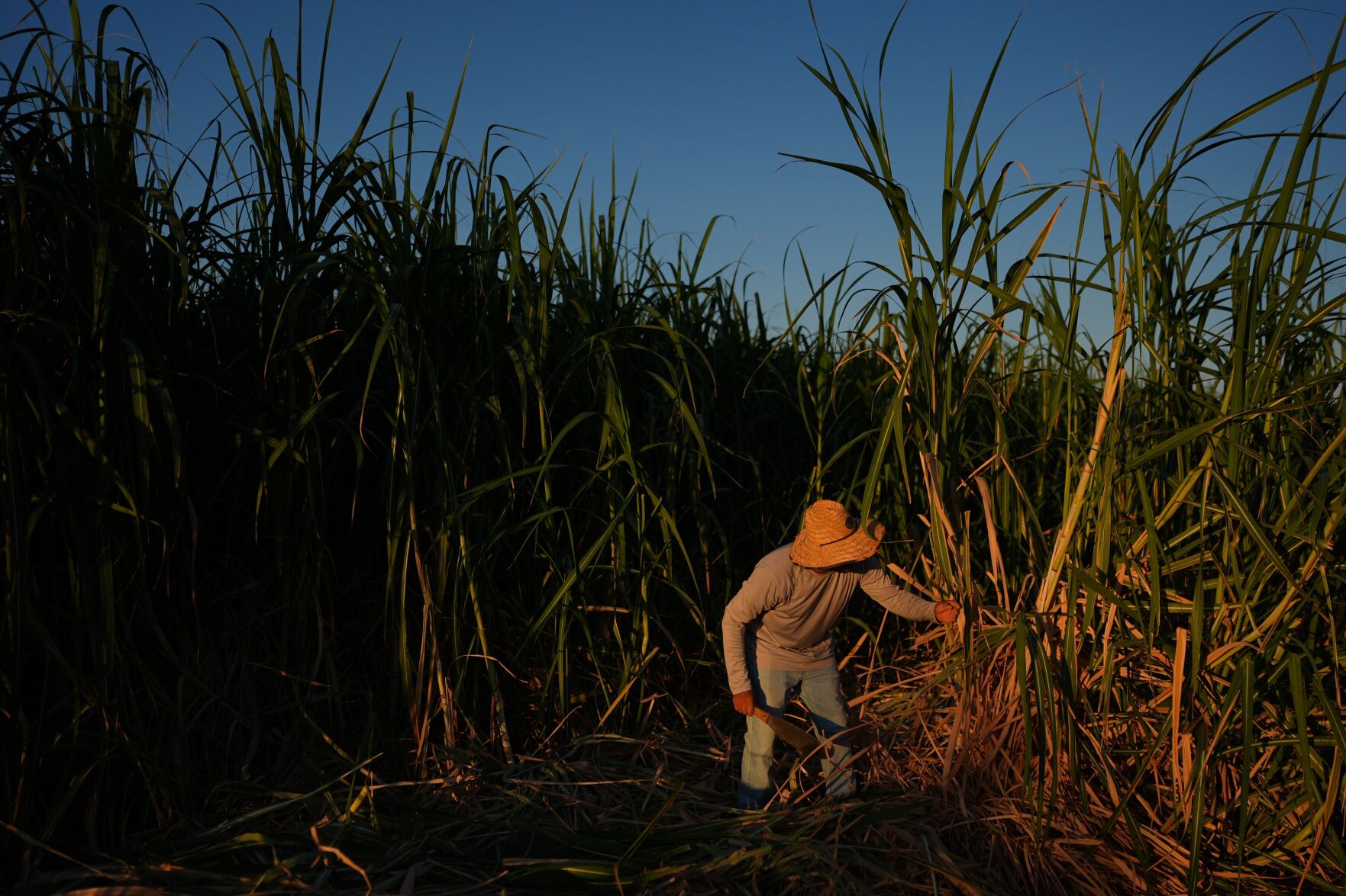 In a California farming region, researchers are mapping rural heat to protect farmworkers